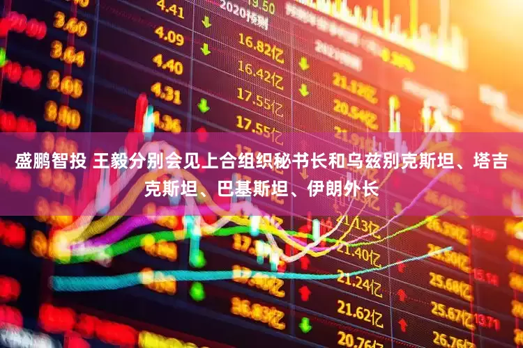 盛鹏智投 王毅分别会见上合组织秘书长和乌兹别克斯坦、塔吉克斯坦、巴基斯坦、伊朗外长